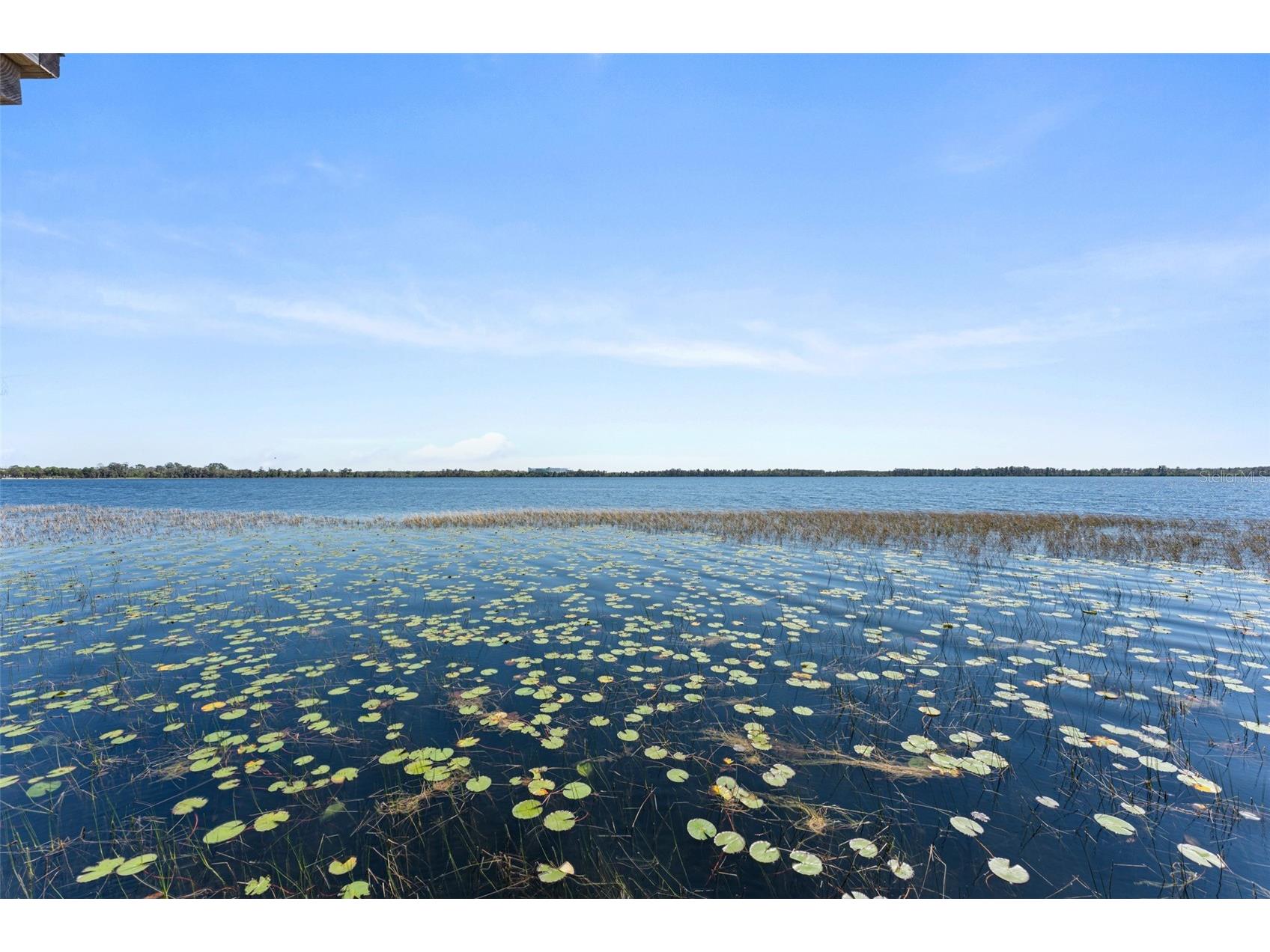 8506 Lake Nona Shore Dr Orlando FL 32827 - LAKE NONA O6392916 image87