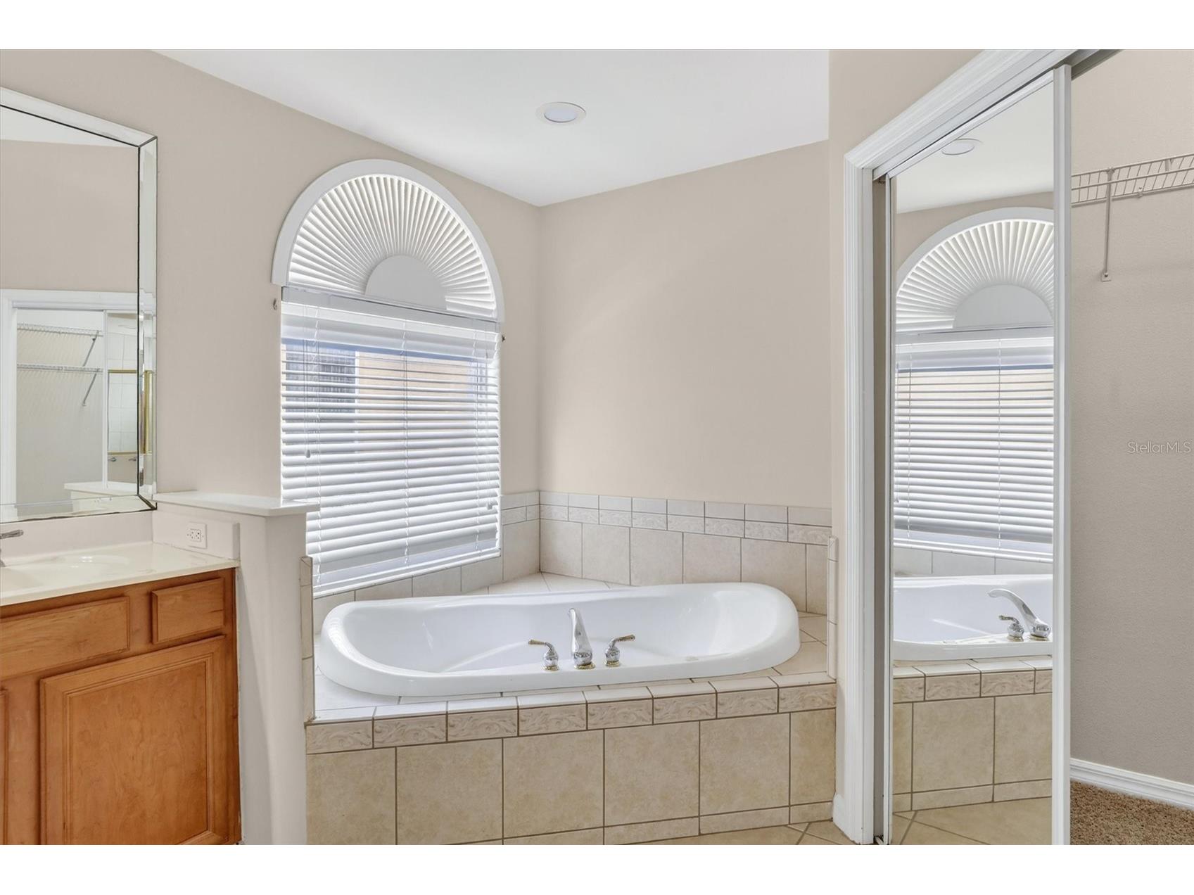 8506 Saint Marino Boulevard Orlando FL 32836 O6412997 image21
