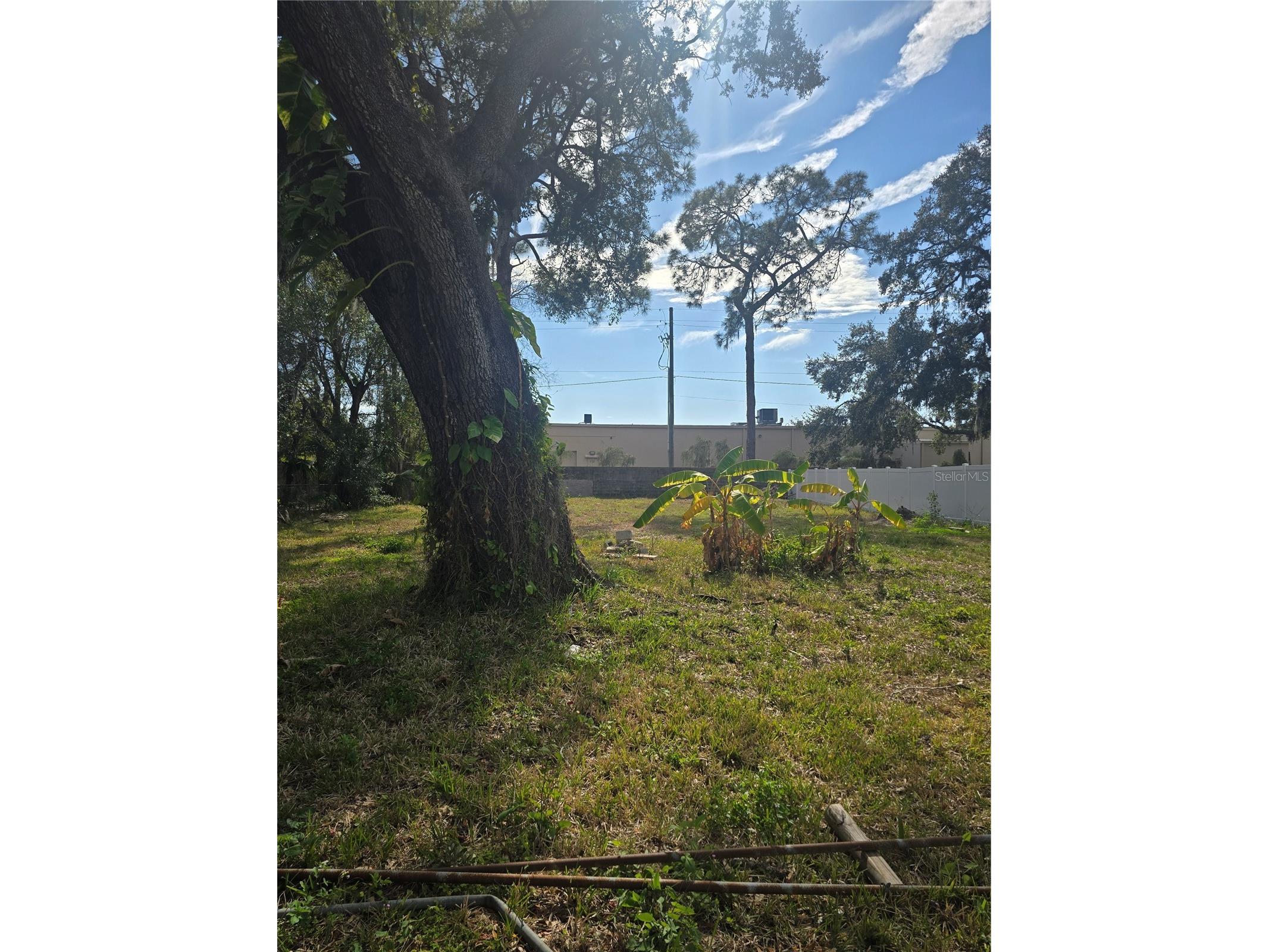 8506 Sunbean Lane Tampa FL 33615 TB8467325 image2