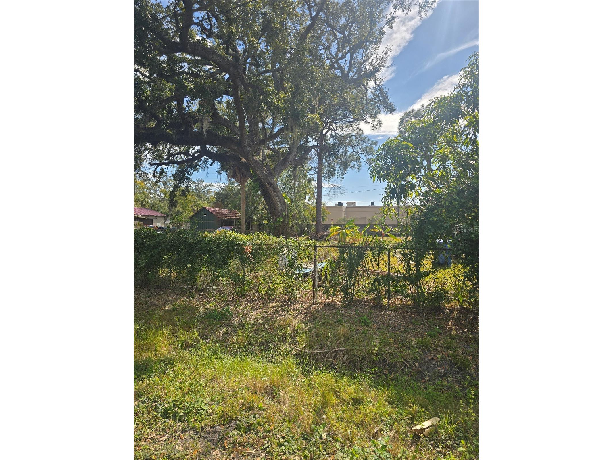 8506 Sunbean Lane Tampa FL 33615 TB8467325 image4