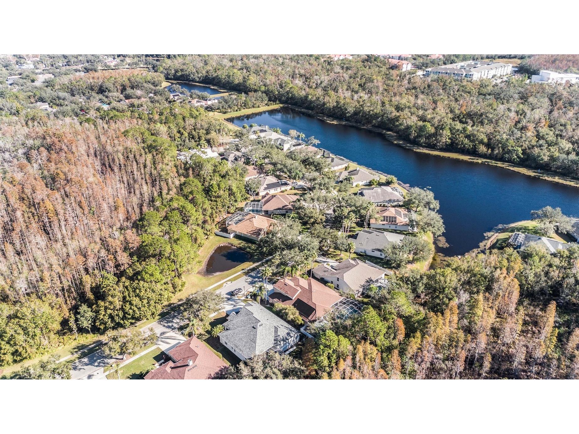 8507 Portage Avenue Tampa FL 33647 TB8524185 image41