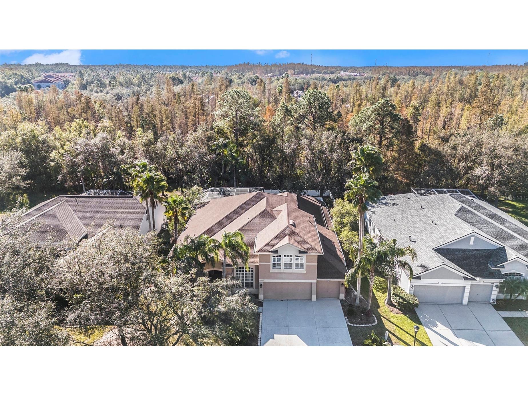 8507 Portage Avenue Tampa FL 33647 TB8524185 image5