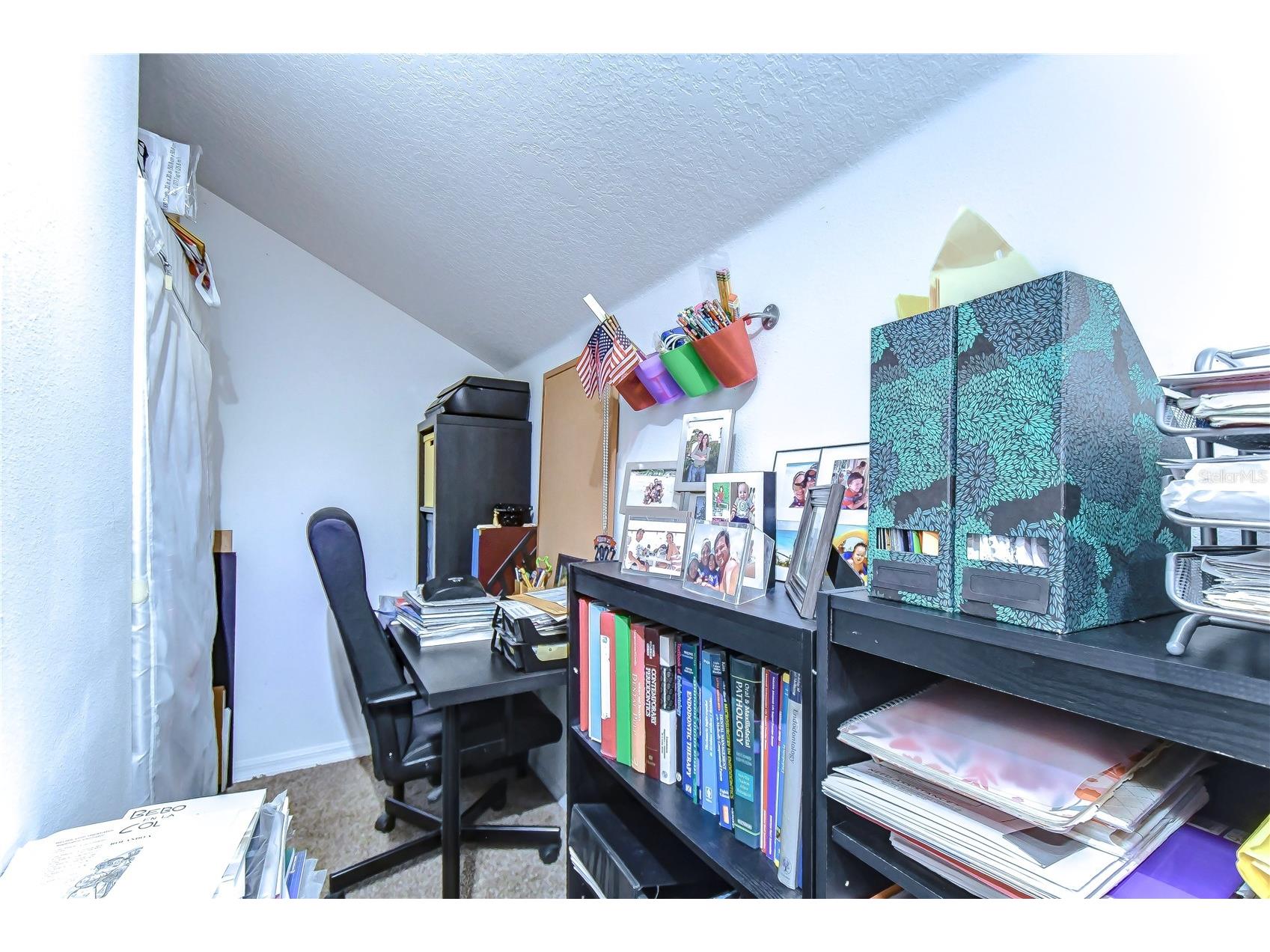 8507 Sandpiper Ridge Avenue Tampa FL 33647 TB8498346 image28