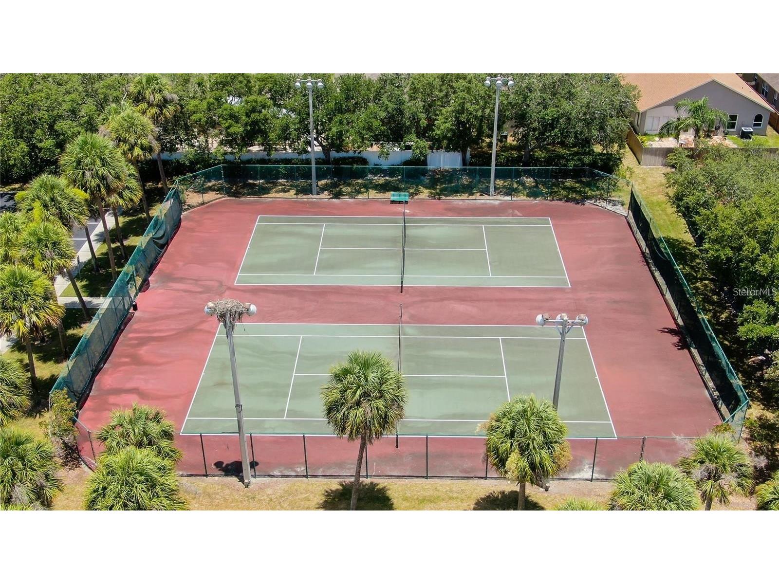 8507 Tiara Park Way Tampa FL 33635 TB8500291 image43