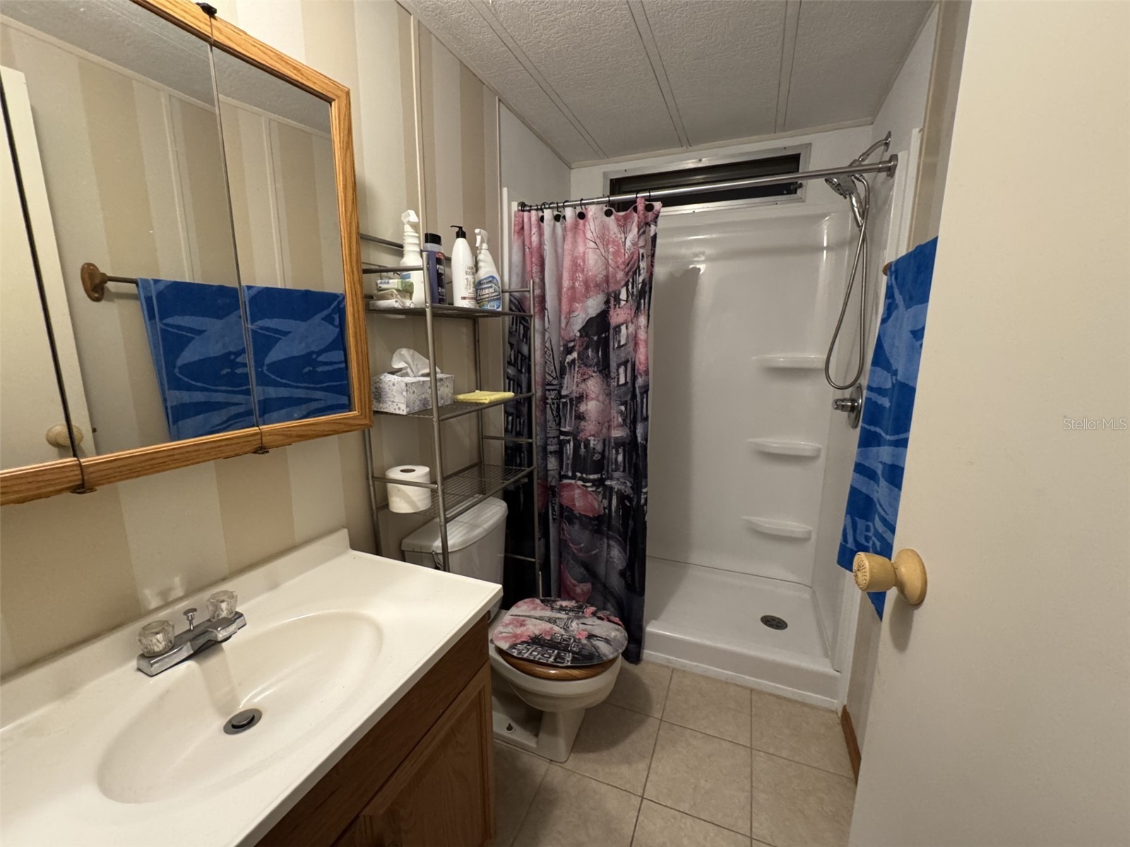 8508 Breeze Hill Drive Lake Wales FL 33898 - LAKE WALK IN WATER P4937813 image11