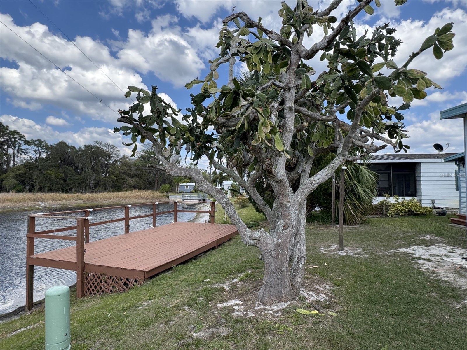 8508 Breeze Hill Drive Lake Wales FL 33898 - LAKE WALK IN WATER P4937813 image34