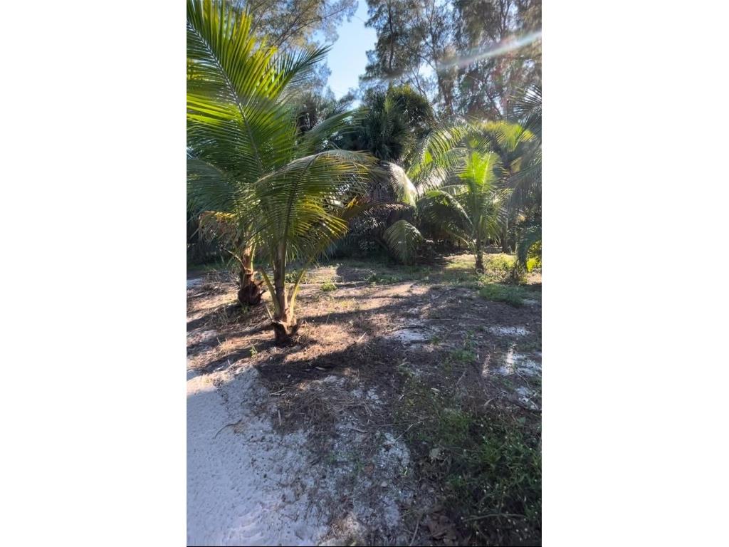 8508 Little Gasparilla Island Placida FL 33946 D6134152 image1