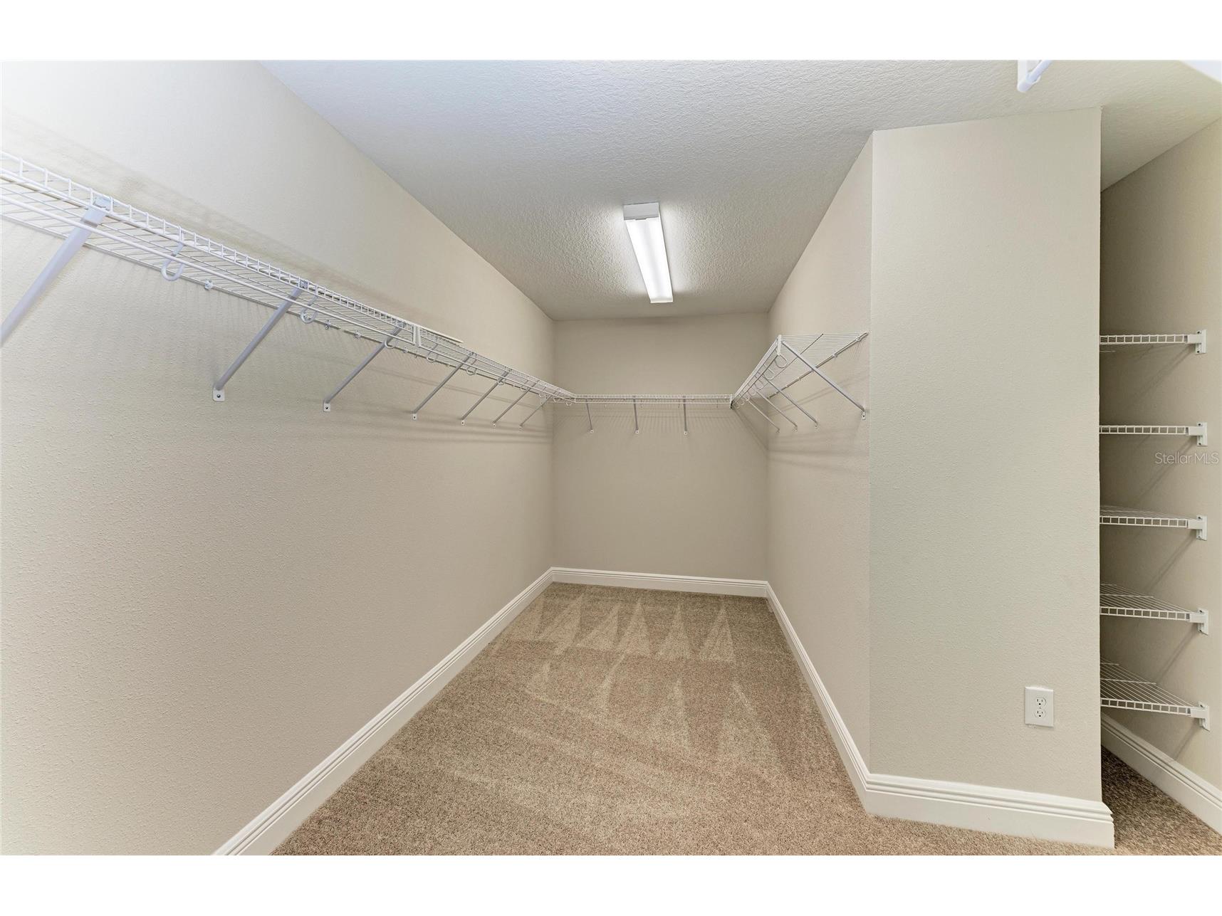 8509 Dove Bog Terrace Parrish FL 34219 TB8479718 image10