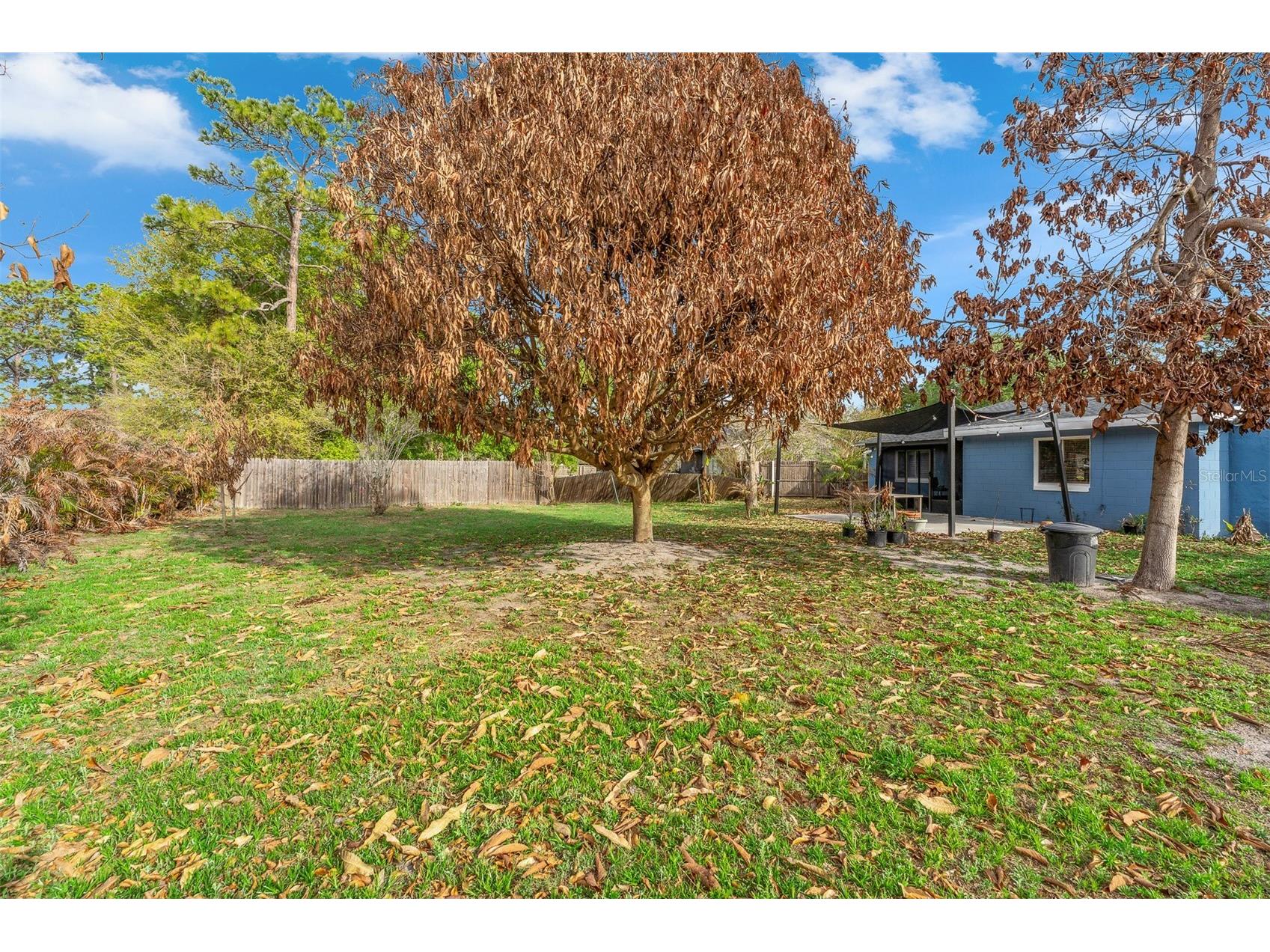 8509 Lyonia Drive Orlando FL 32829 S5145852 image35
