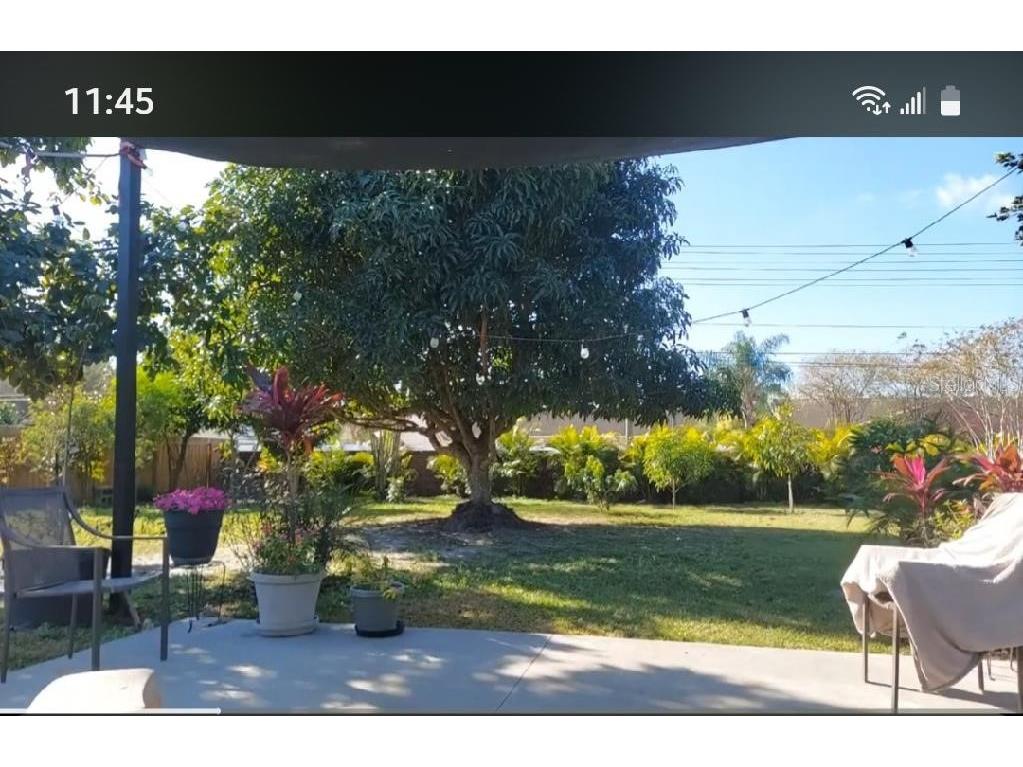 8509 Lyonia Drive Orlando FL 32829 S5145852 image43