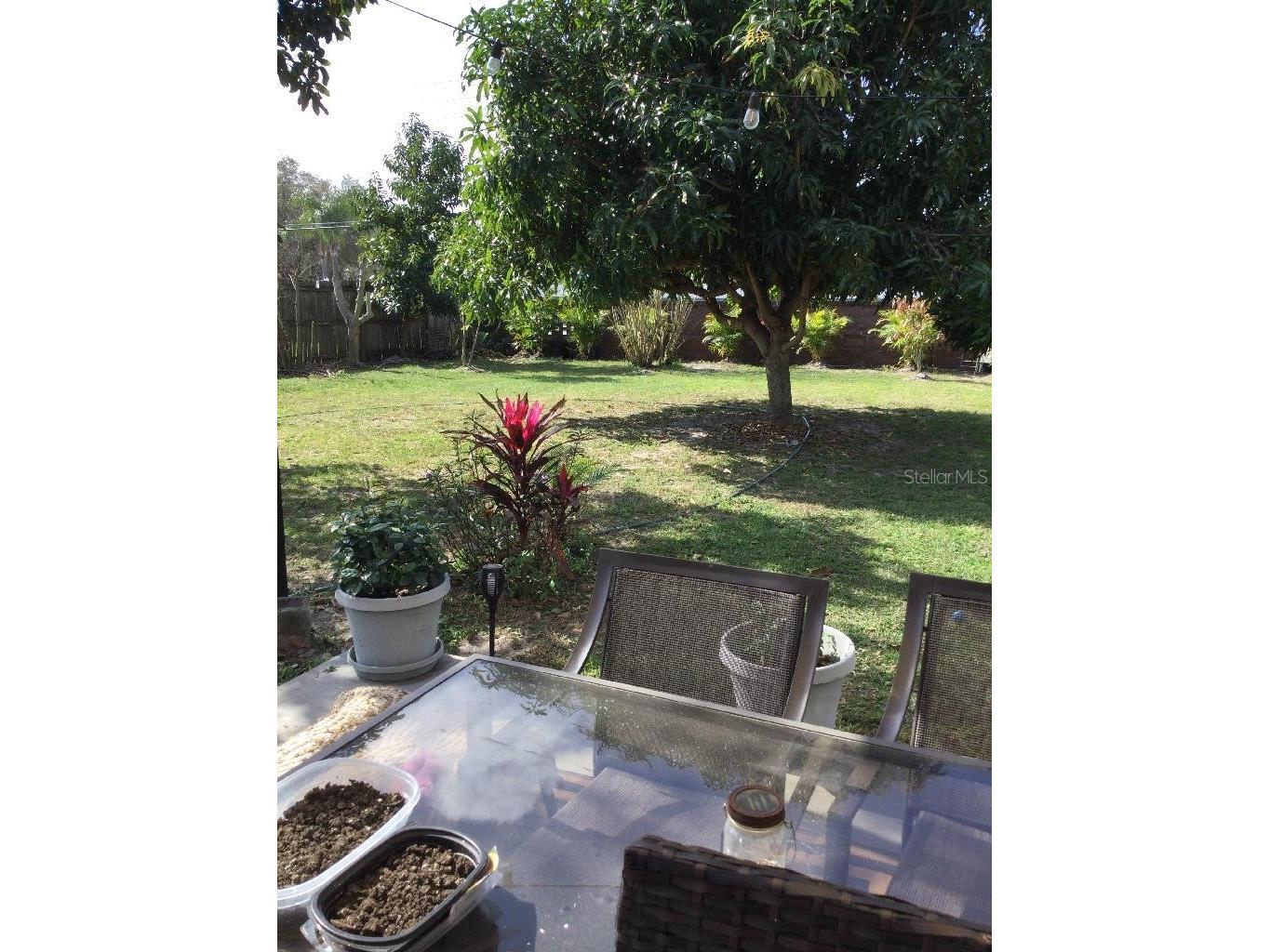8509 Lyonia Drive Orlando FL 32829 S5145852 image44