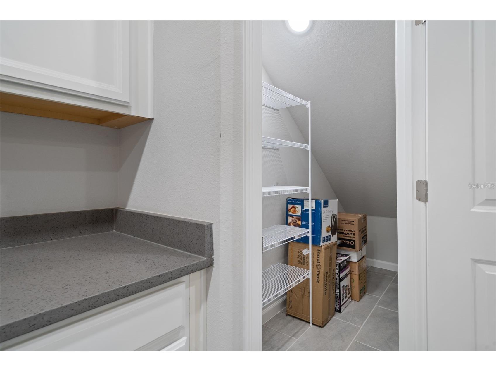 8509 Primrose Willow Place Odessa FL 33556 TB8474199 image15