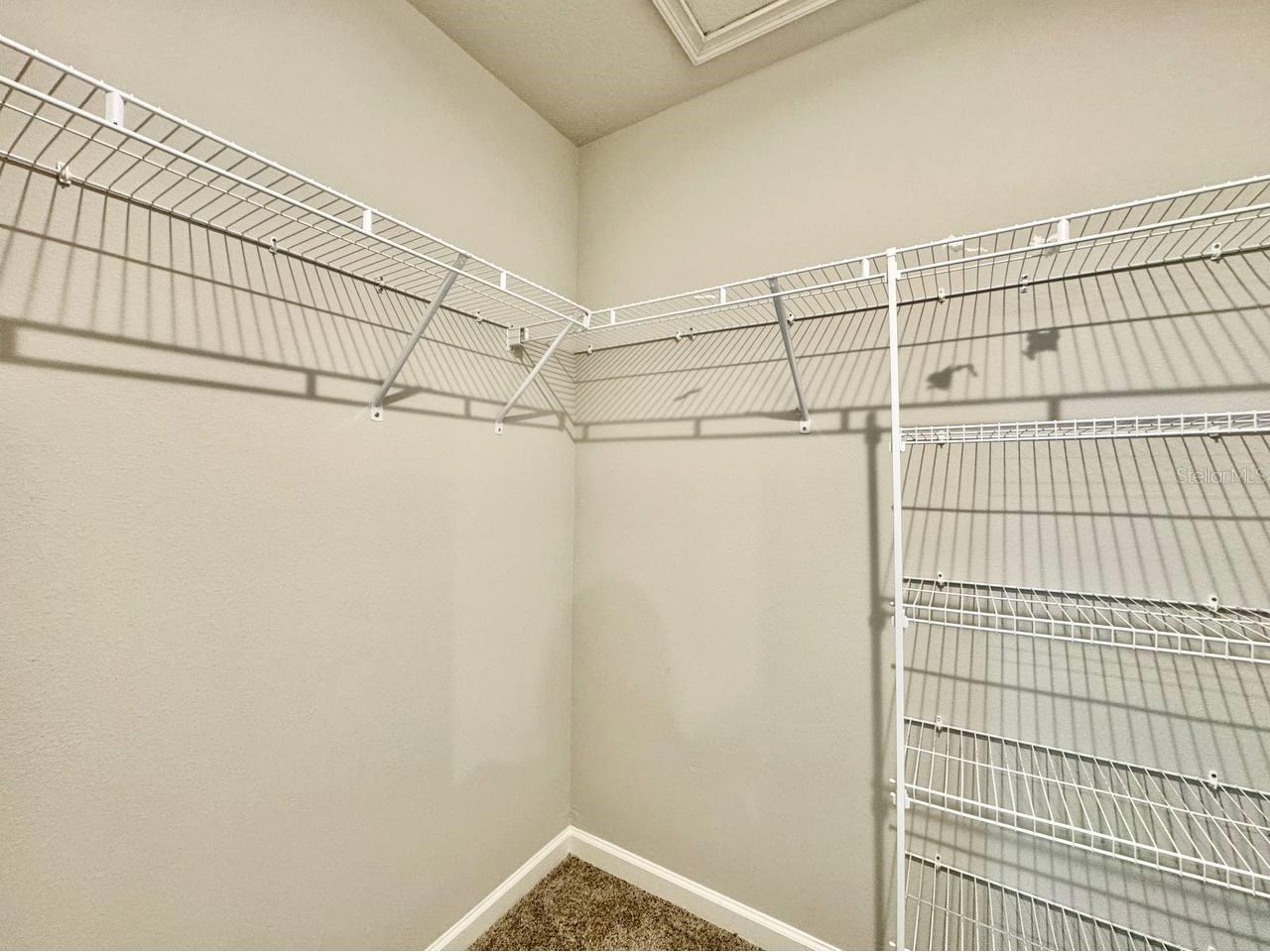 8509 Primrose Willow Place Odessa FL 33556 TB8506823 image24