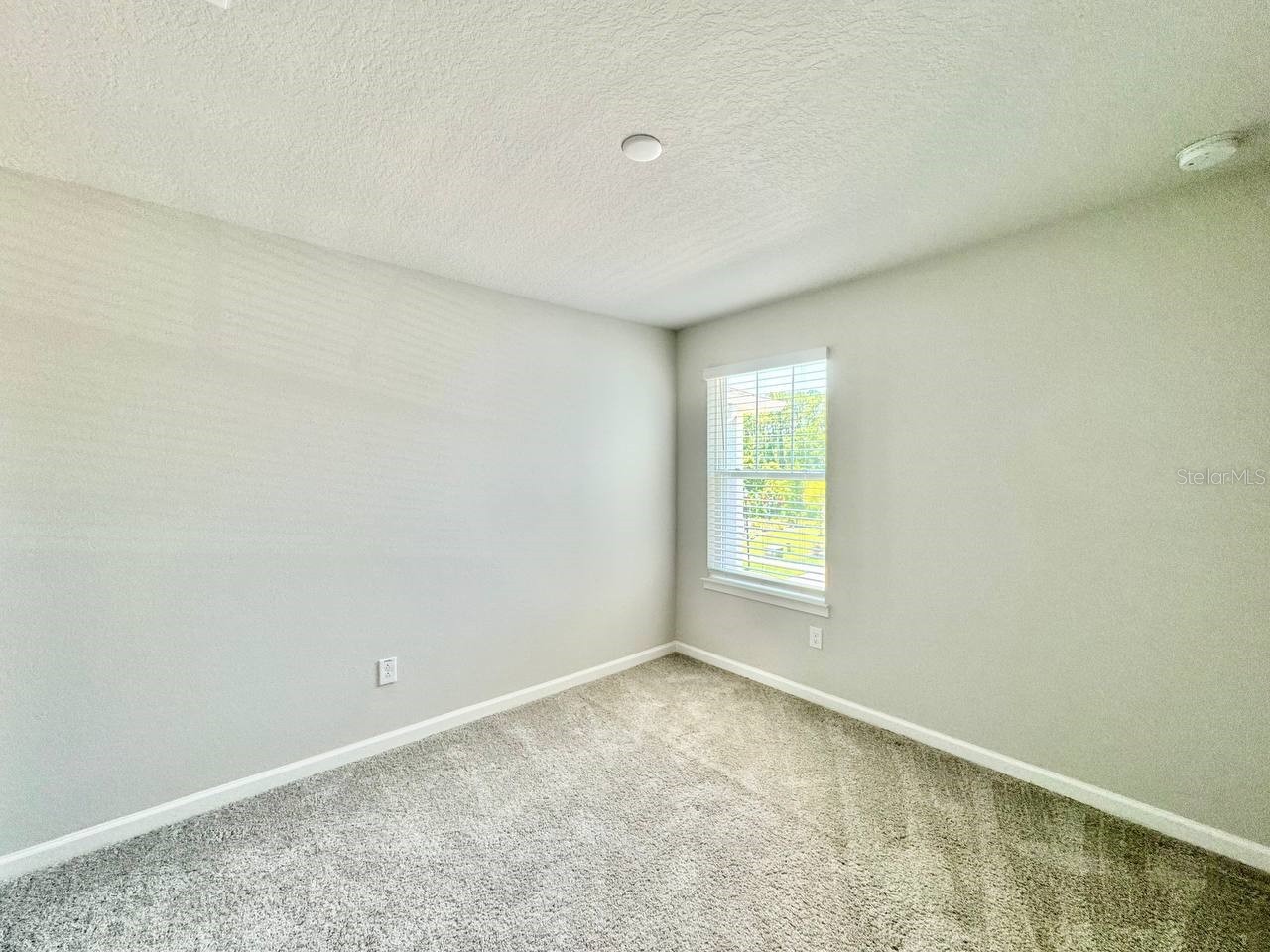 8509 Primrose Willow Place Odessa FL 33556 TB8506823 image25