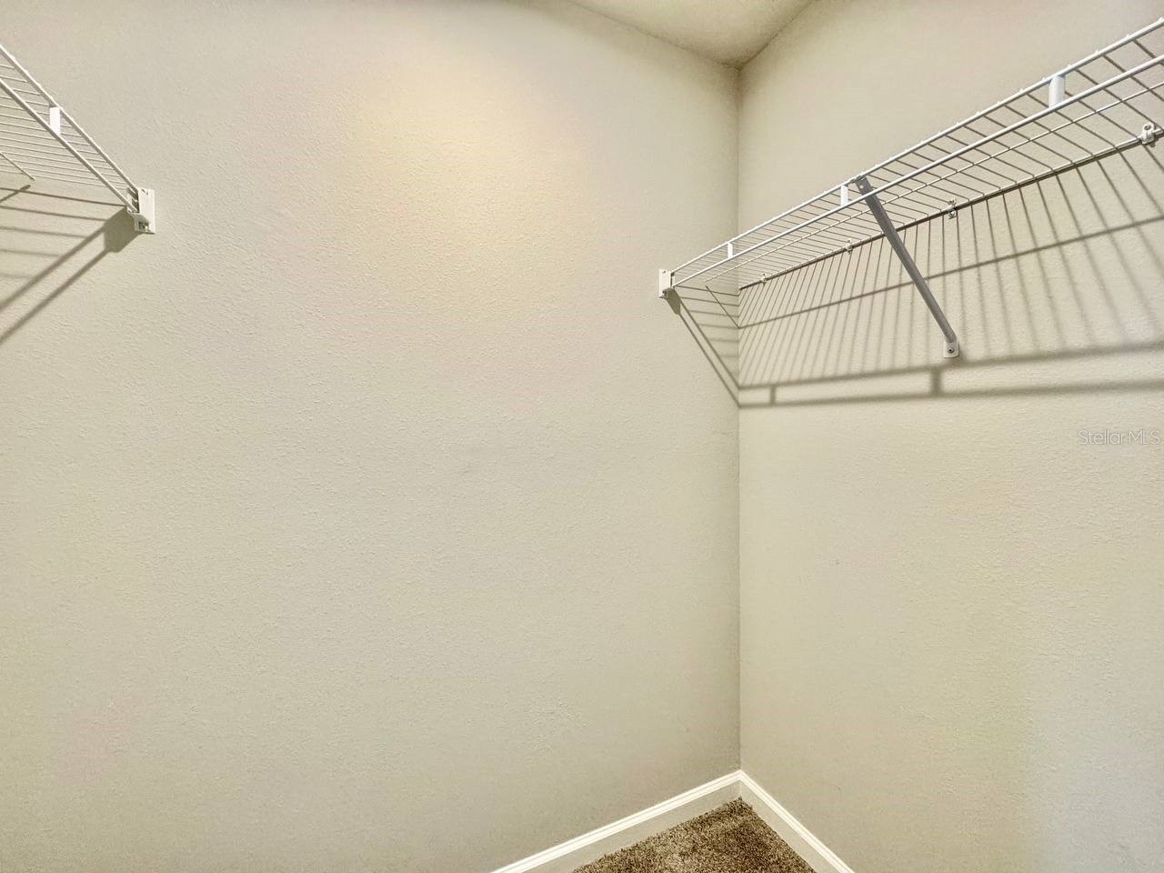 8509 Primrose Willow Place Odessa FL 33556 TB8506823 image32