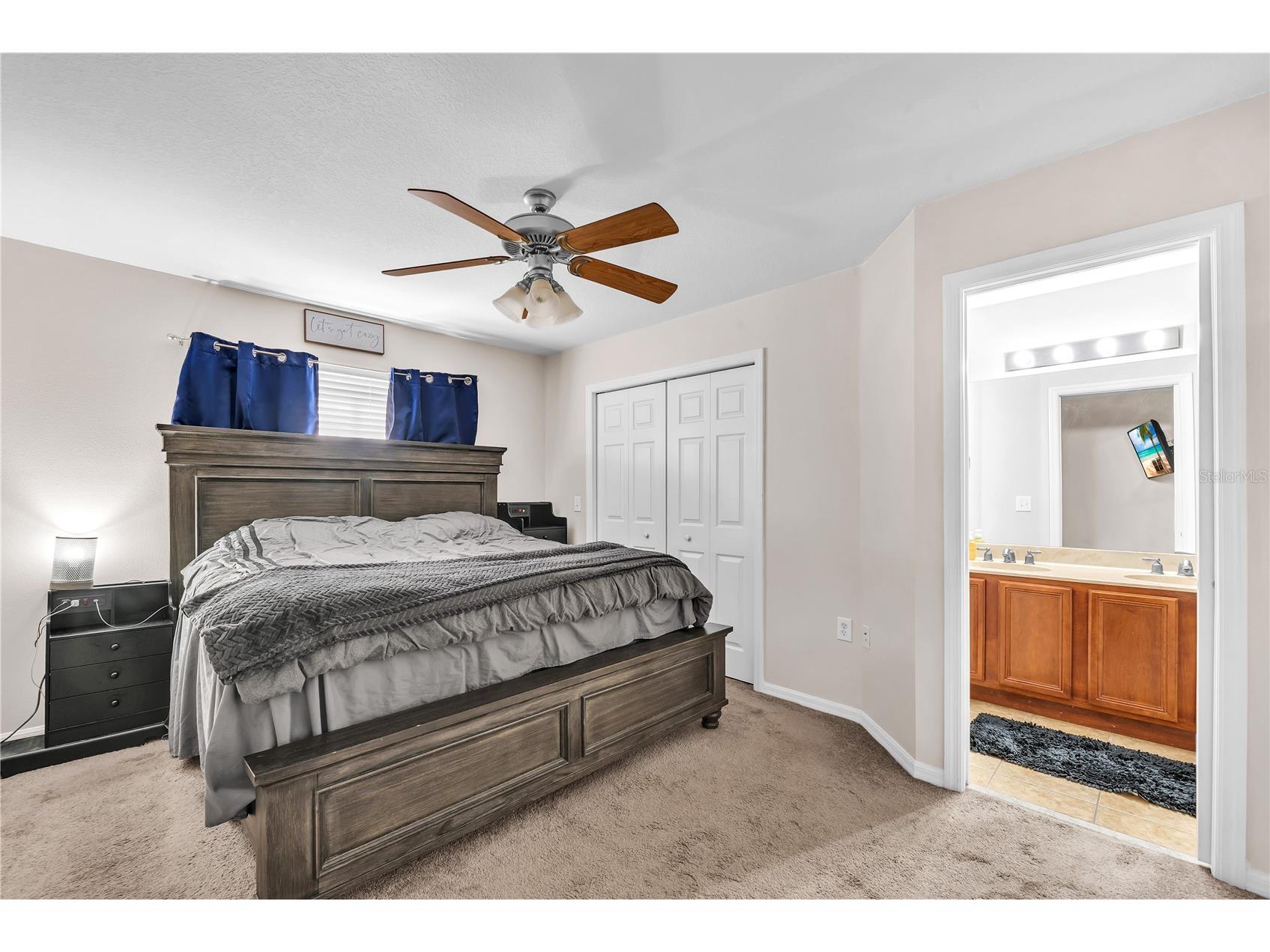 8509 Trail Wind Drive Tampa FL 33647 TB8474722 image17