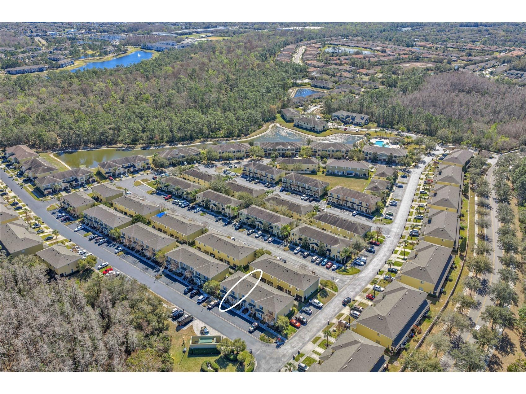 8509 Trail Wind Drive Tampa FL 33647 TB8474722 image24
