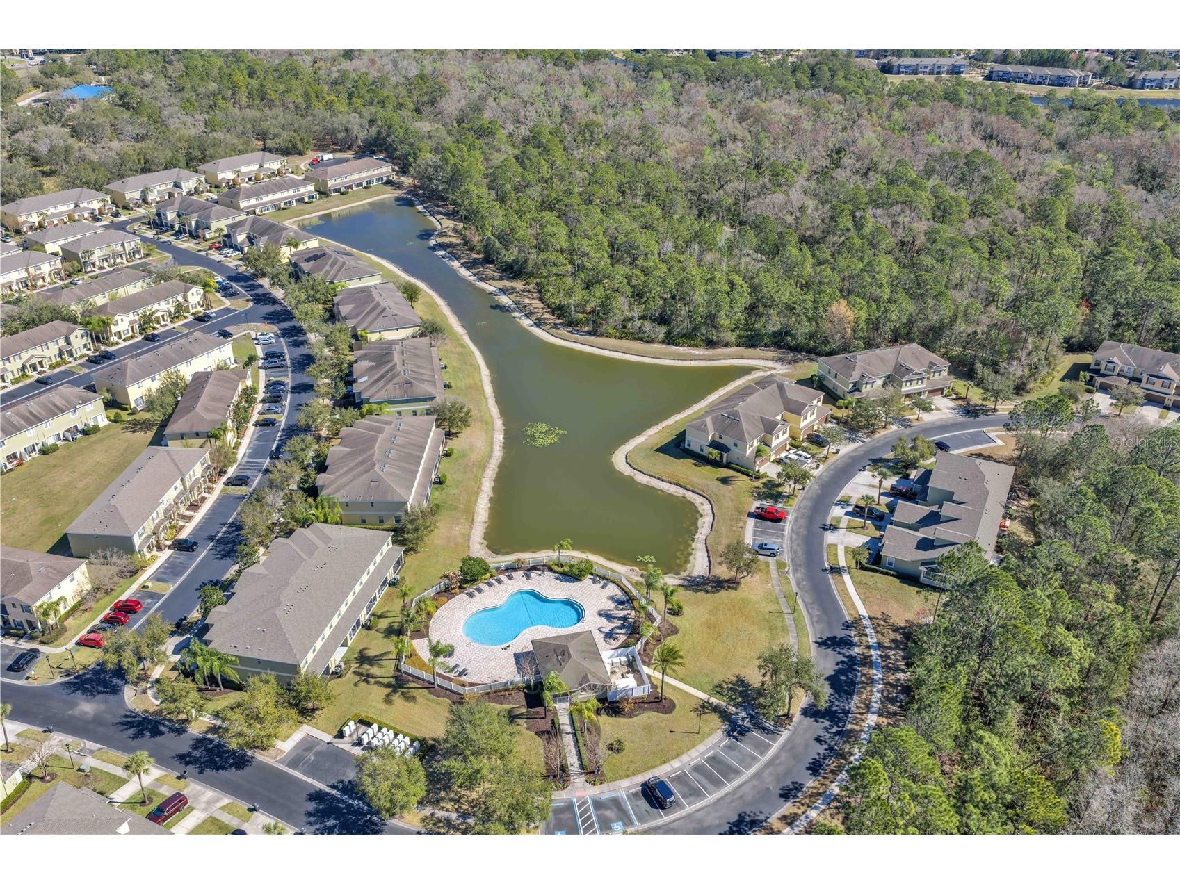 8509 Trail Wind Drive Tampa FL 33647 TB8474722 image25