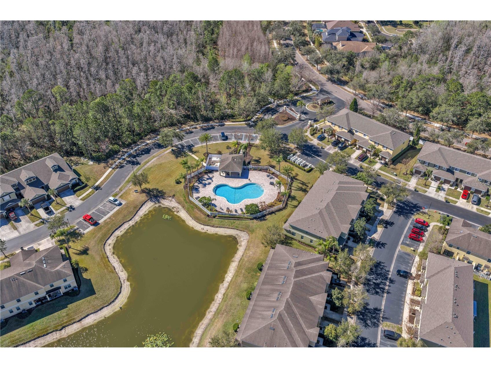 8509 Trail Wind Drive Tampa FL 33647 TB8474722 image26
