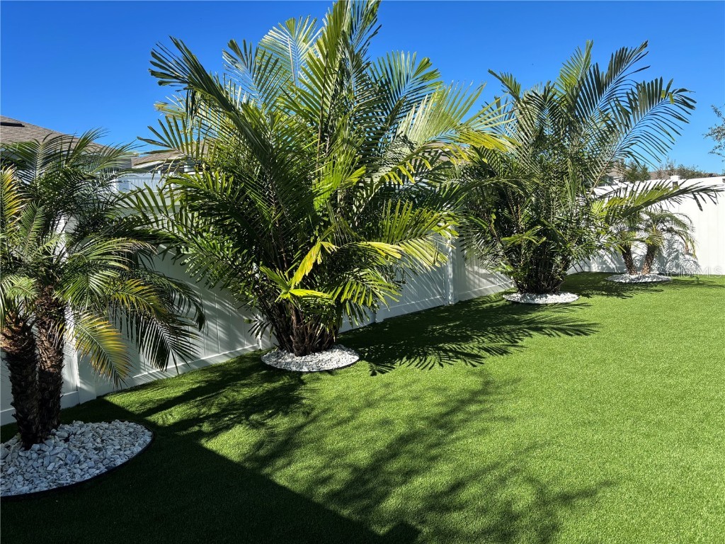 851 August Sky Deltona FL 32738 S5139377 image28