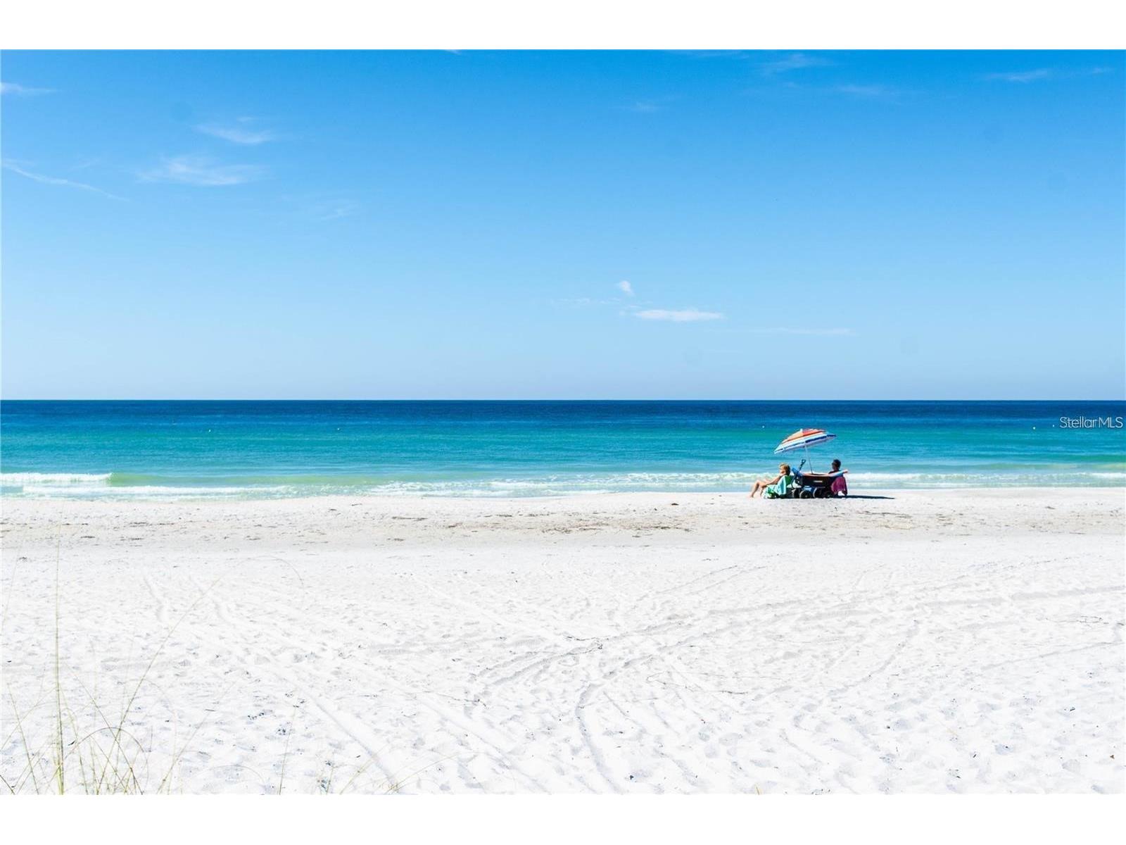851 Bayway Boulevard #103 Clearwater Beach FL 33767 TB8493245 image26