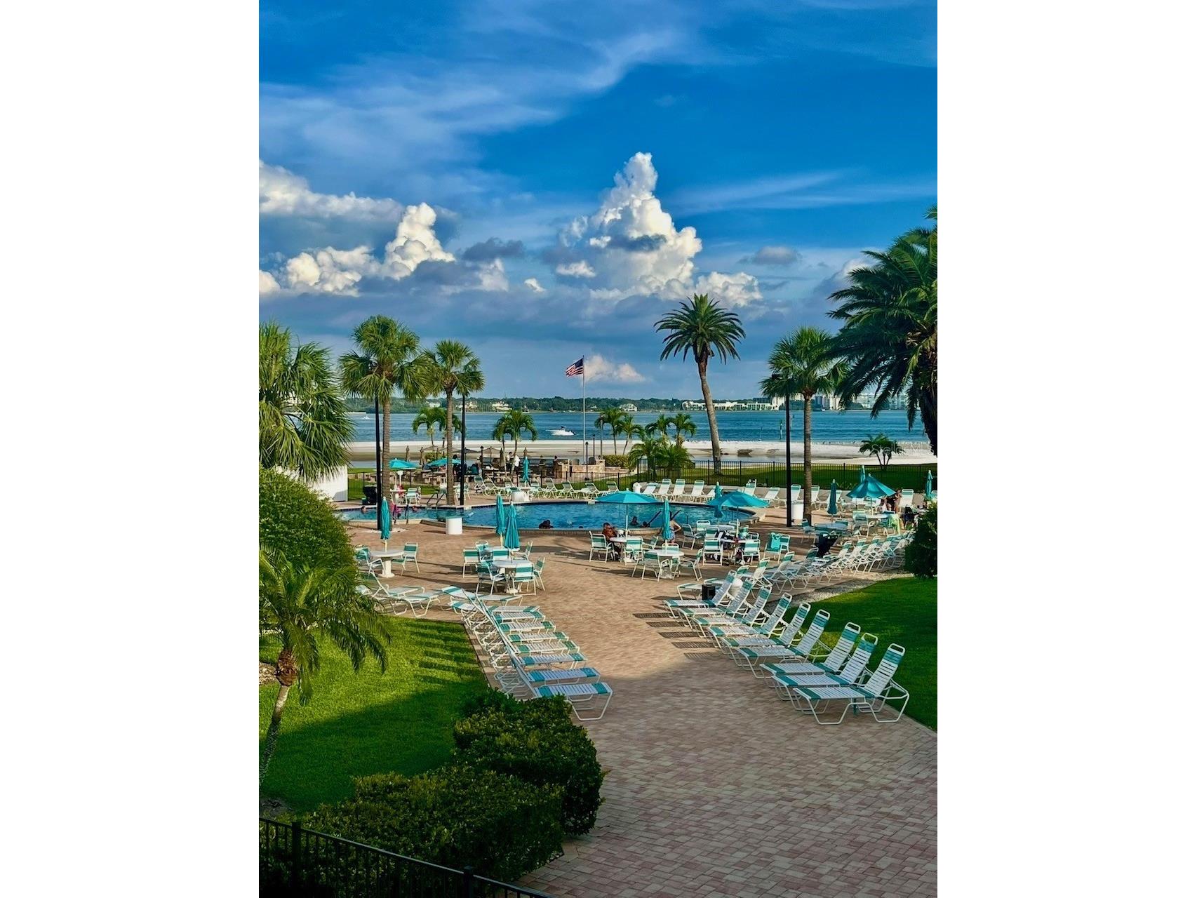 851 Bayway Boulevard #405 Clearwater Beach FL 33767 TB8507467 image41