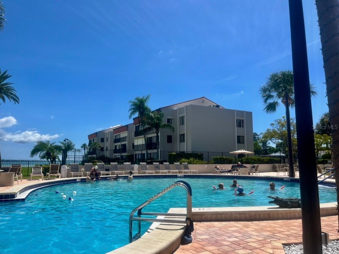 851 Bayway Boulevard #405 Clearwater Beach FL 33767 TB8507467 image43