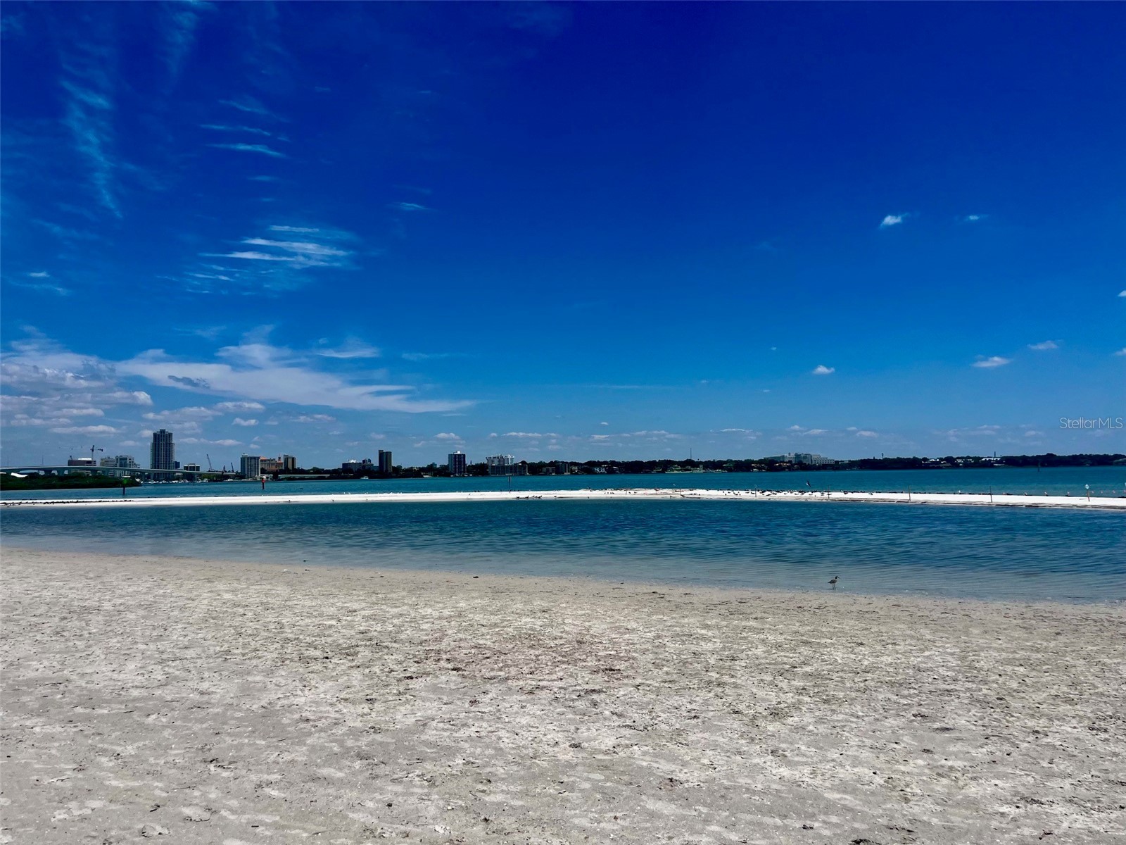 851 Bayway Boulevard #405 Clearwater Beach FL 33767 TB8507467 image63