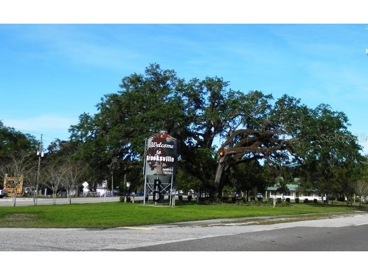 851 Easy Street Brooksville FL 34601 TB8366779 image38