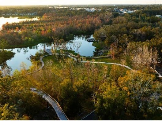 851 Hawthorne Berry Road Lakeland FL 33810 O6358318 image22