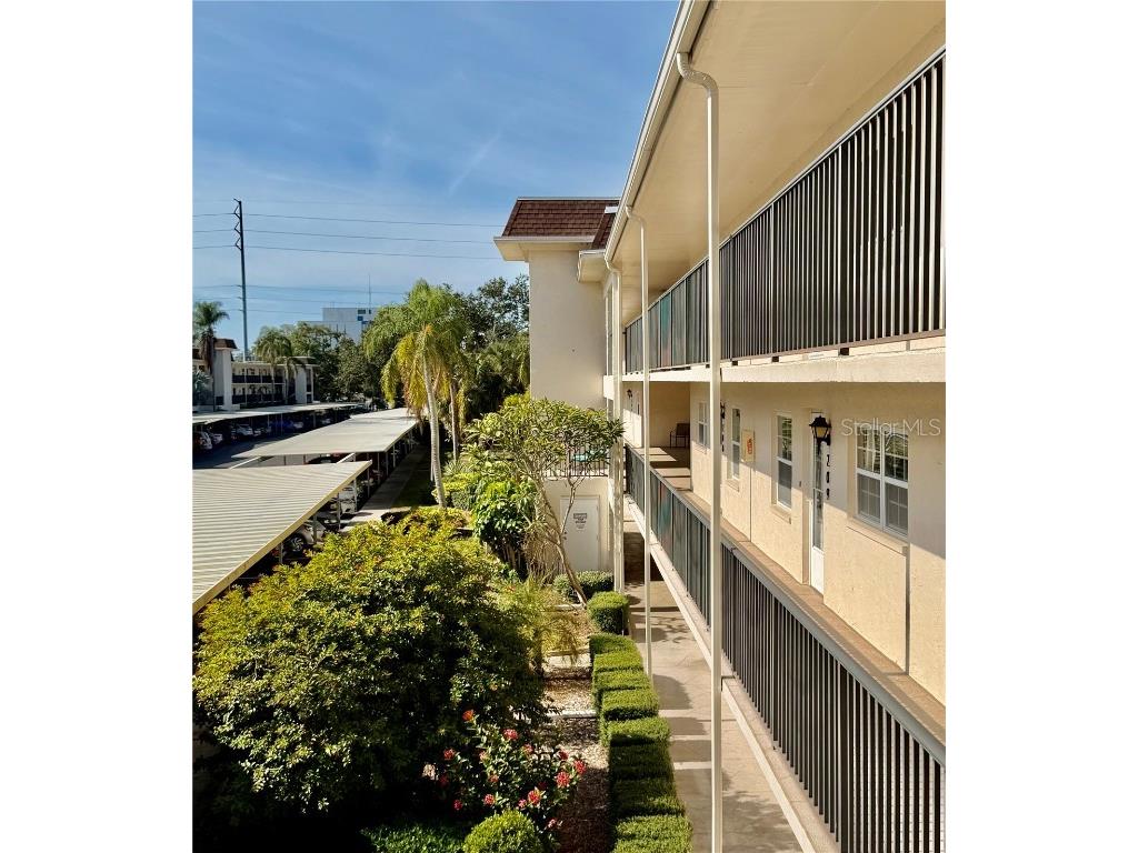 851 Maple Court #209 Dunedin FL 34698 TB8451693 image3