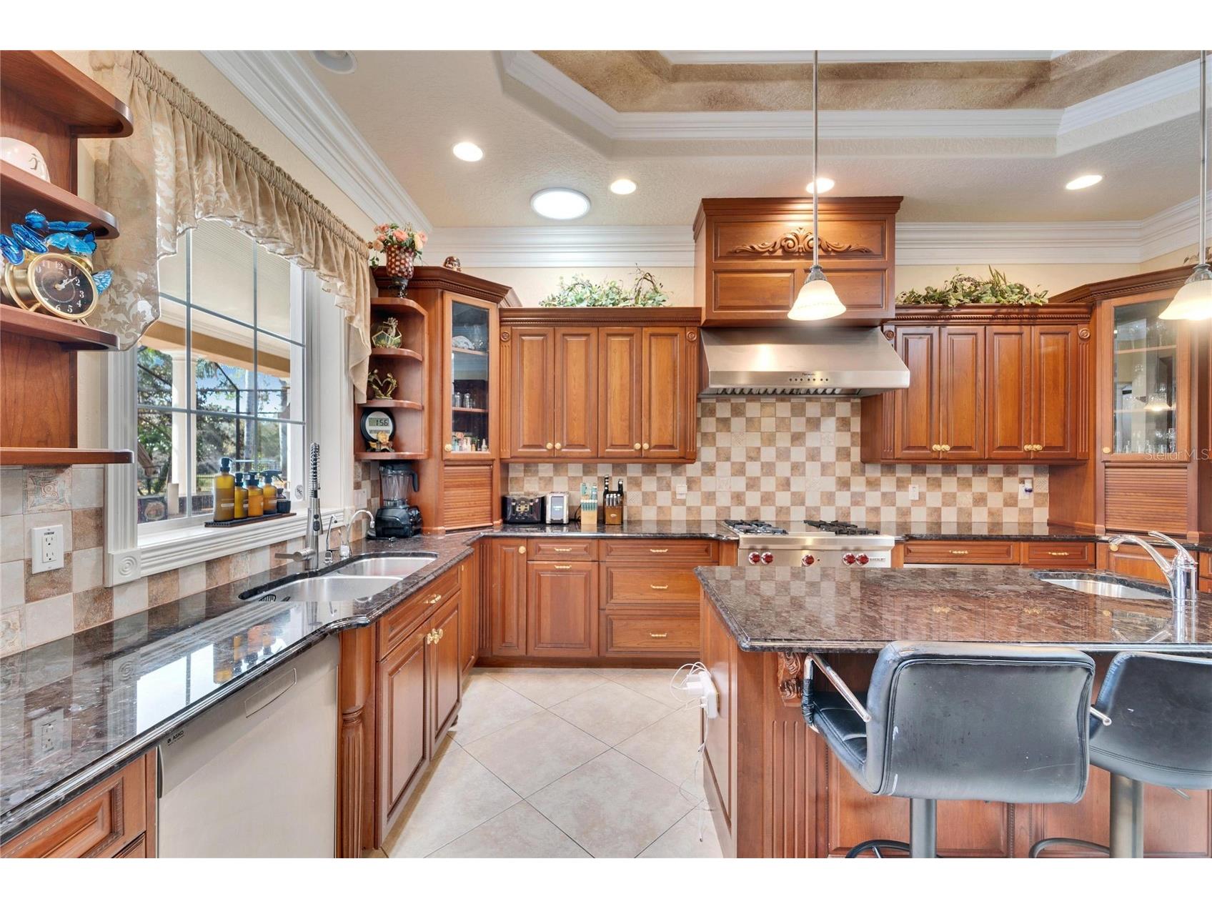 8510 Kentucky Derby Drive Odessa FL 33556 TB8493286 image11