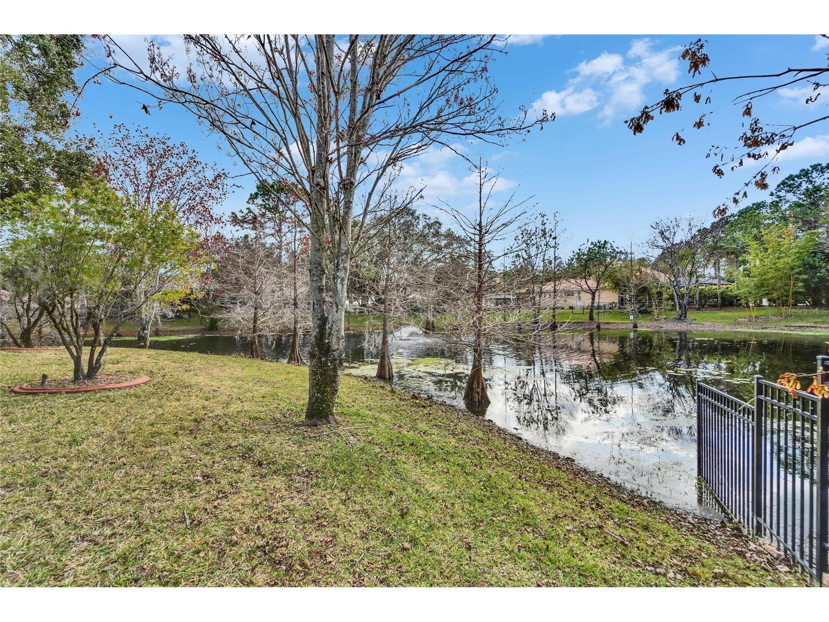 8510 Kentucky Derby Drive Odessa FL 33556 TB8493286 image17