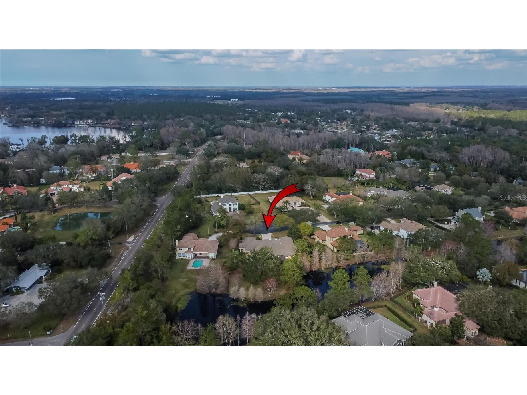 8510 Kentucky Derby Drive Odessa FL 33556 TB8493286 image30