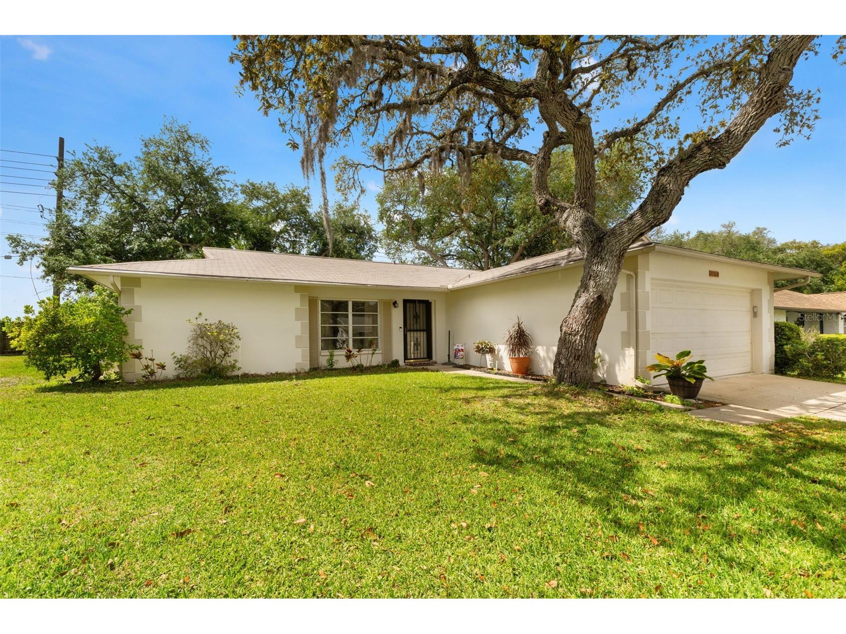 8510 Winding Wood Drive Port Richey FL 34668 W7884759 image2