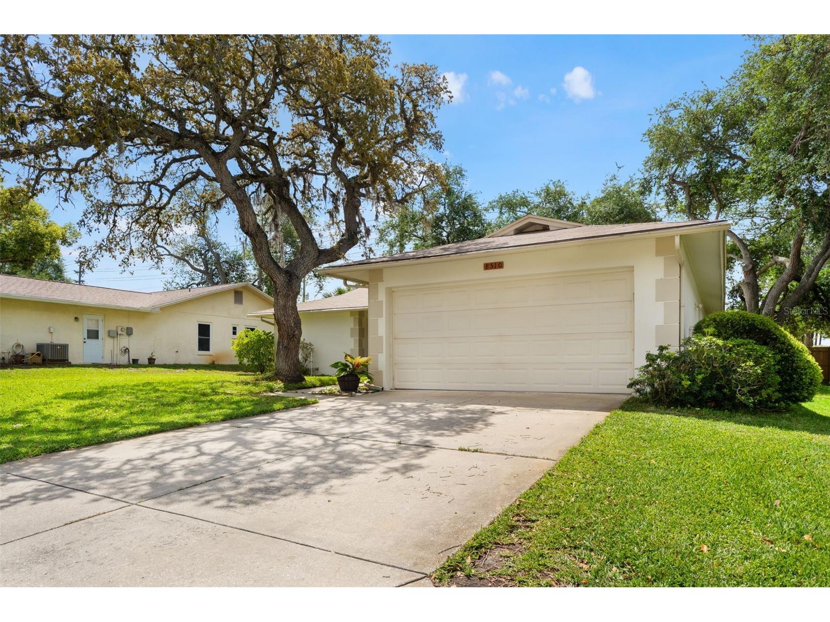 8510 Winding Wood Drive Port Richey FL 34668 W7884759 image3