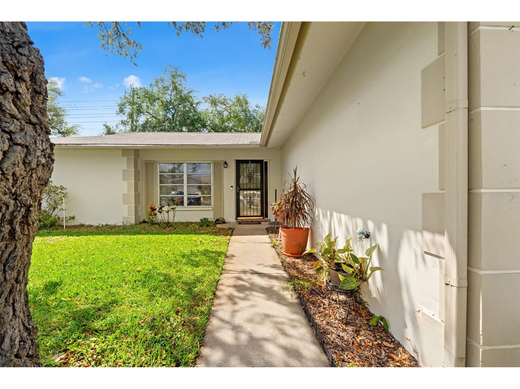 8510 Winding Wood Drive Port Richey FL 34668 W7884759 image4