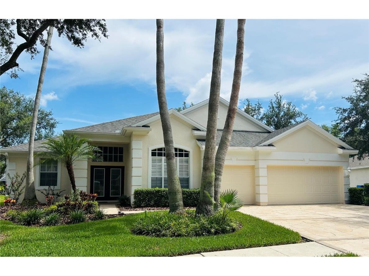 8511 Portage Avenue Tampa FL 33647 TB8402079 image1