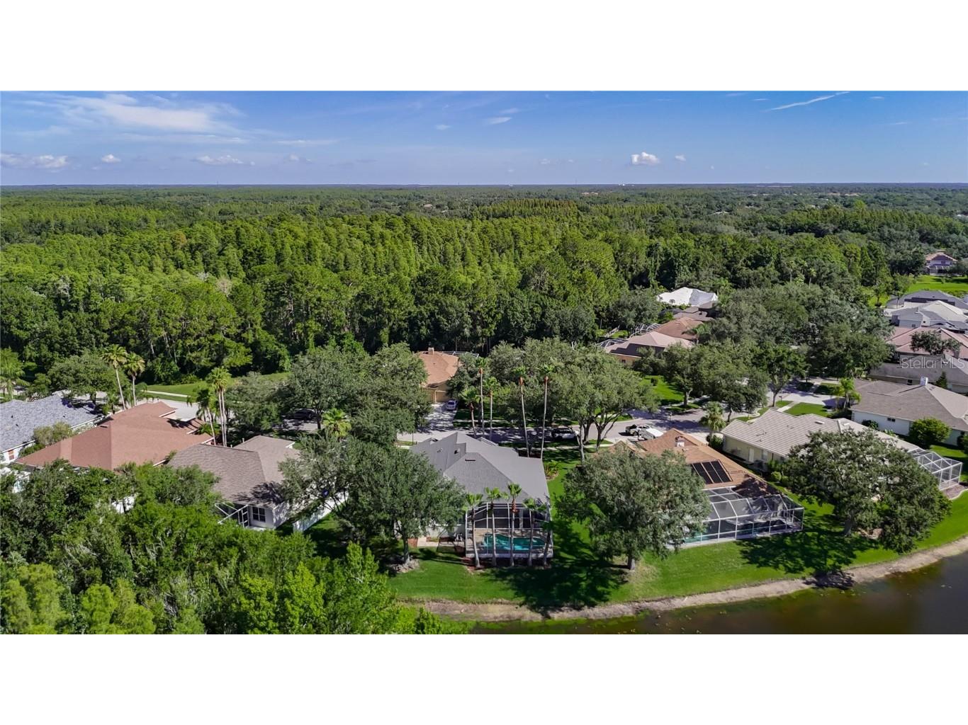 8511 Portage Avenue Tampa FL 33647 TB8402079 image46