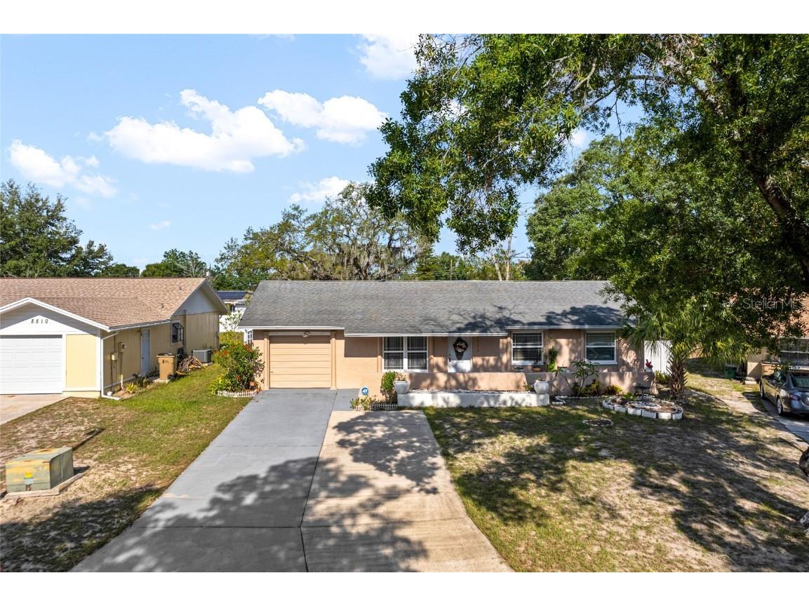 8512 Caladesi Island Drive Temple Terrace FL 33637 T3446903 image1