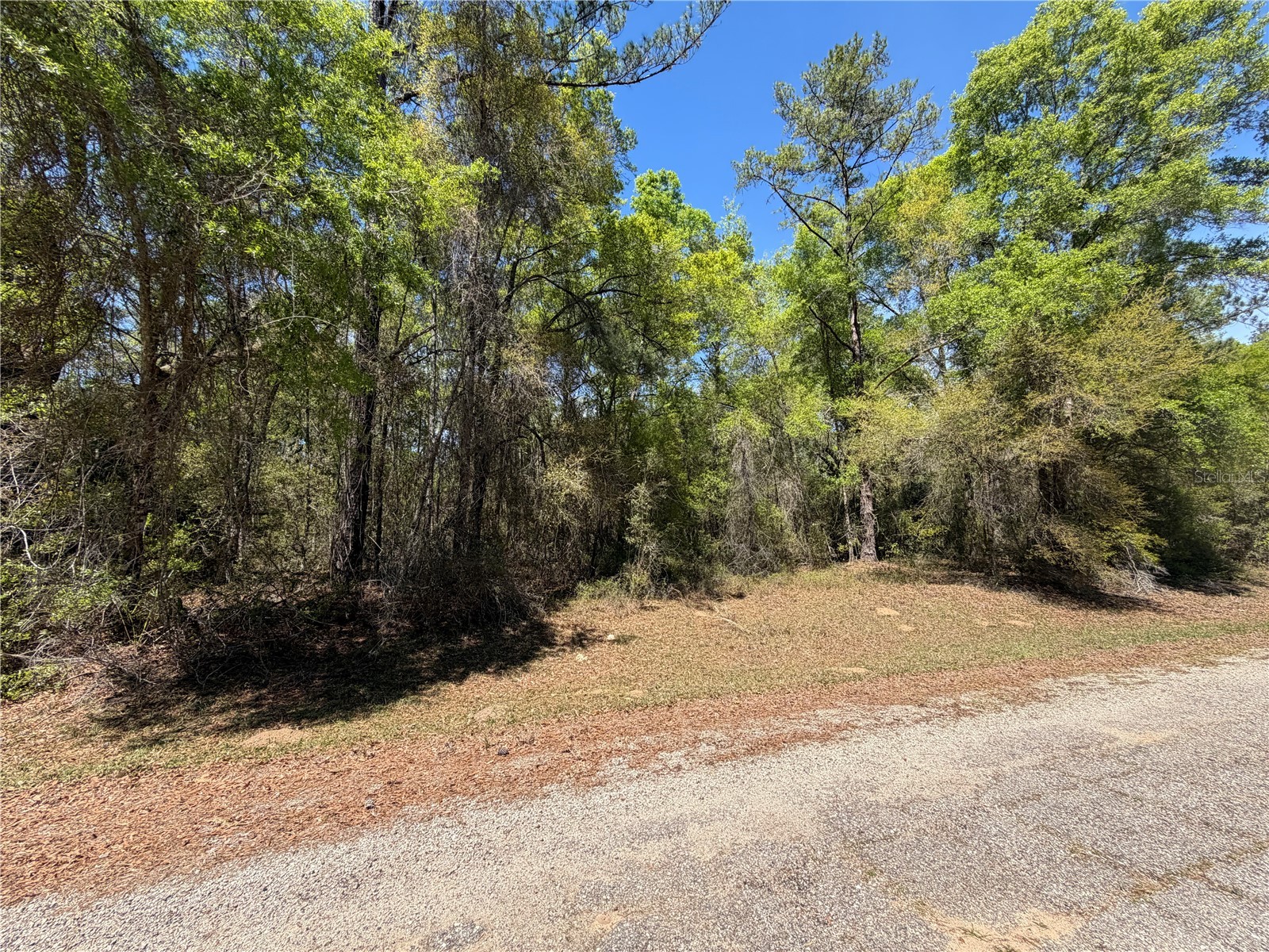 8512 N Escobar Road Dunnellon FL 34434 A4687210 image1