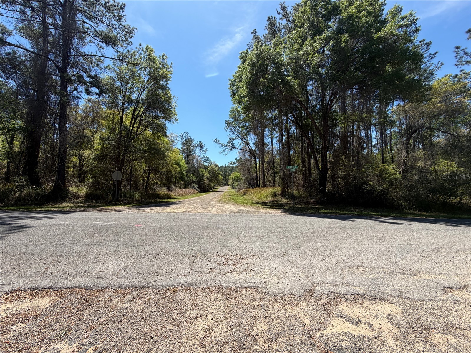 8512 N Escobar Road Dunnellon FL 34434 A4687210 image10