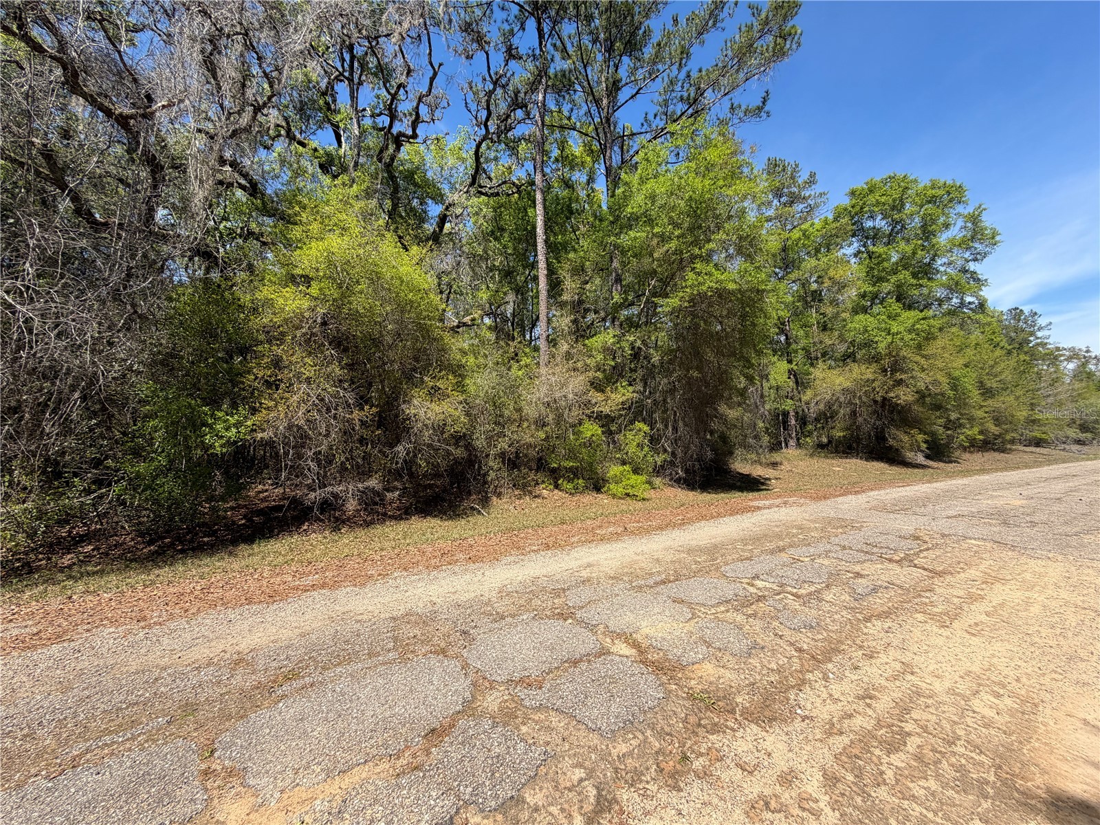 8512 N Escobar Road Dunnellon FL 34434 A4687210 image4