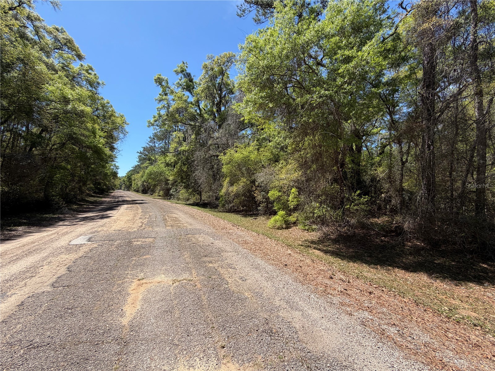 8512 N Escobar Road Dunnellon FL 34434 A4687210 image5