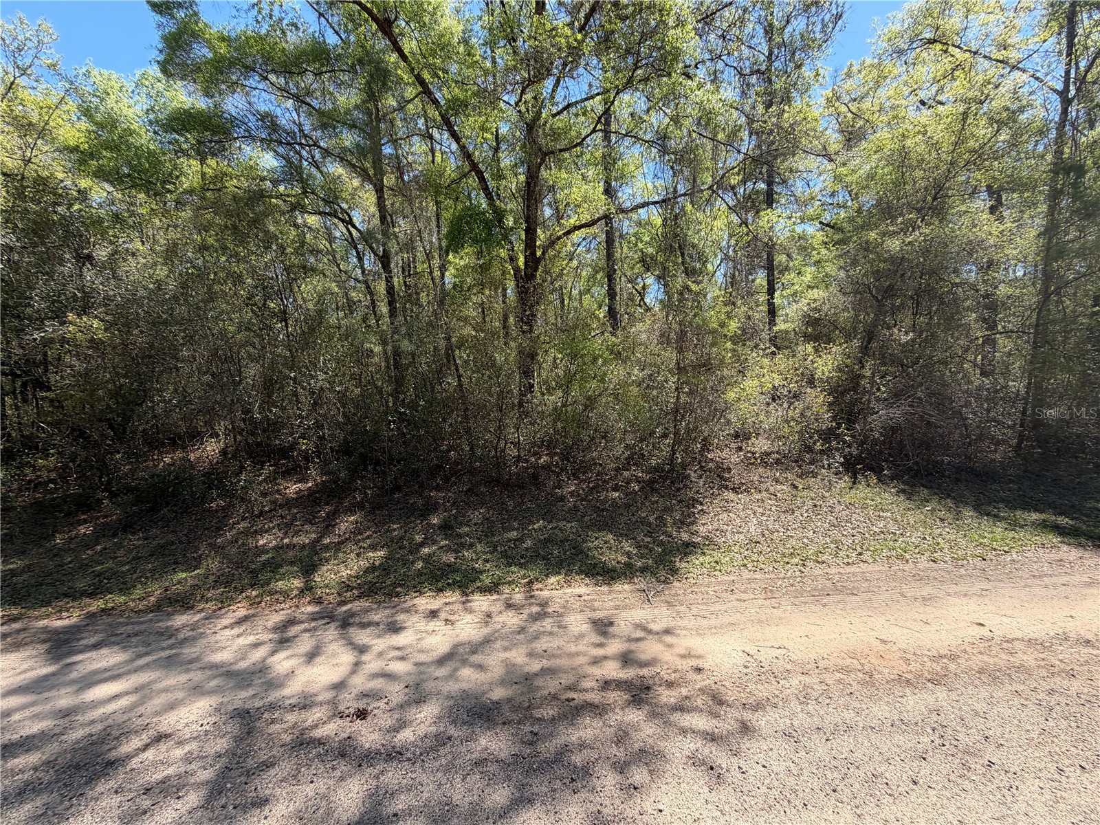 8512 N Escobar Road Dunnellon FL 34434 A4687210 image6