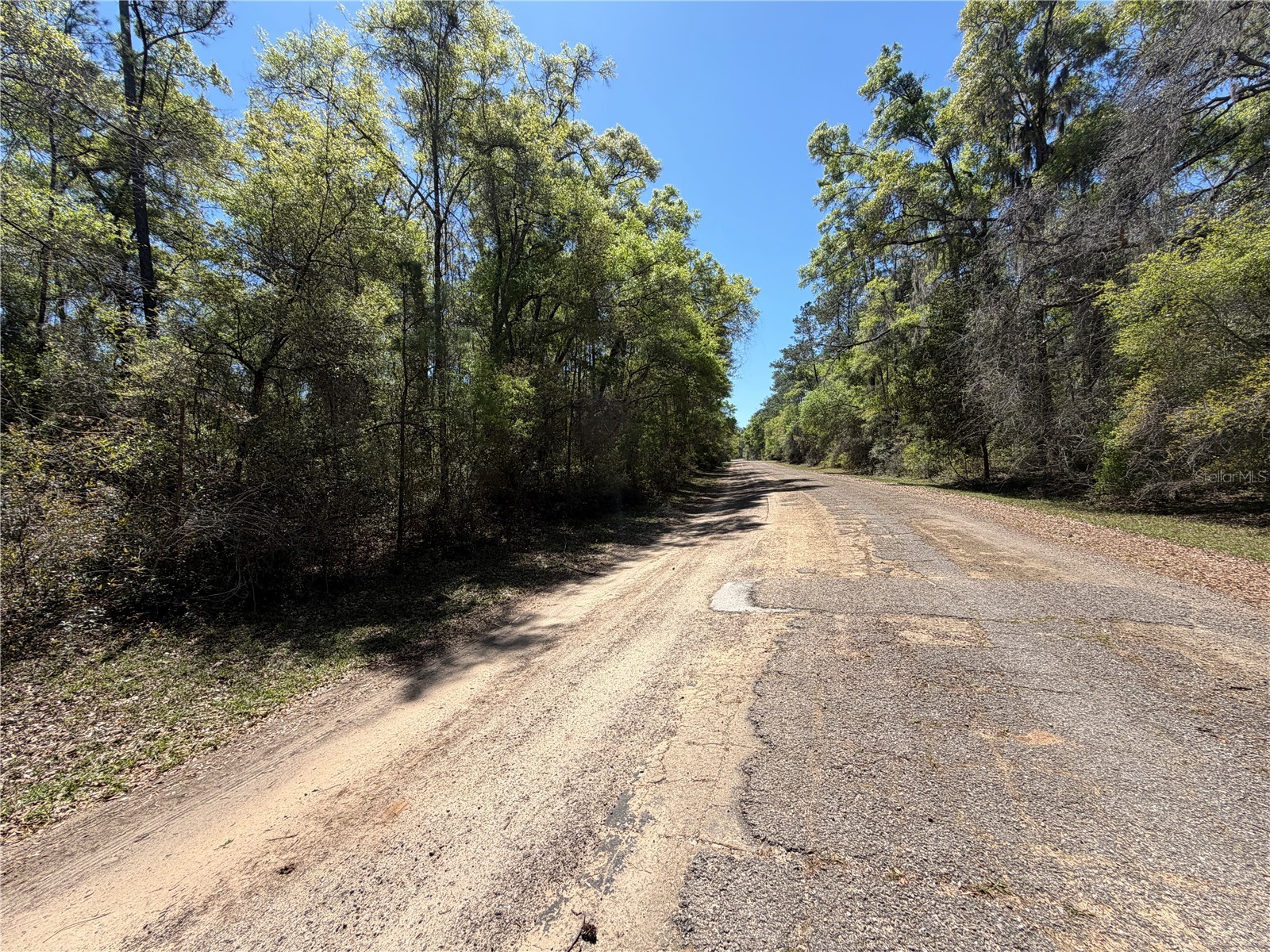 8512 N Escobar Road Dunnellon FL 34434 A4687210 image7