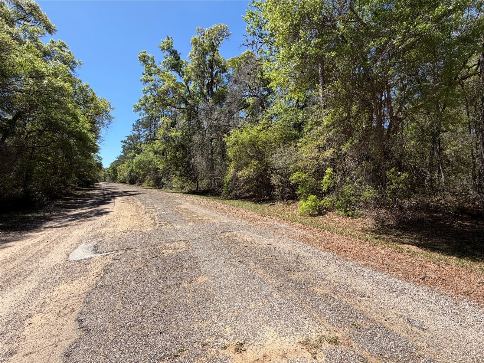 8512 N Escobar Road Dunnellon FL 34434 A4687210 image8