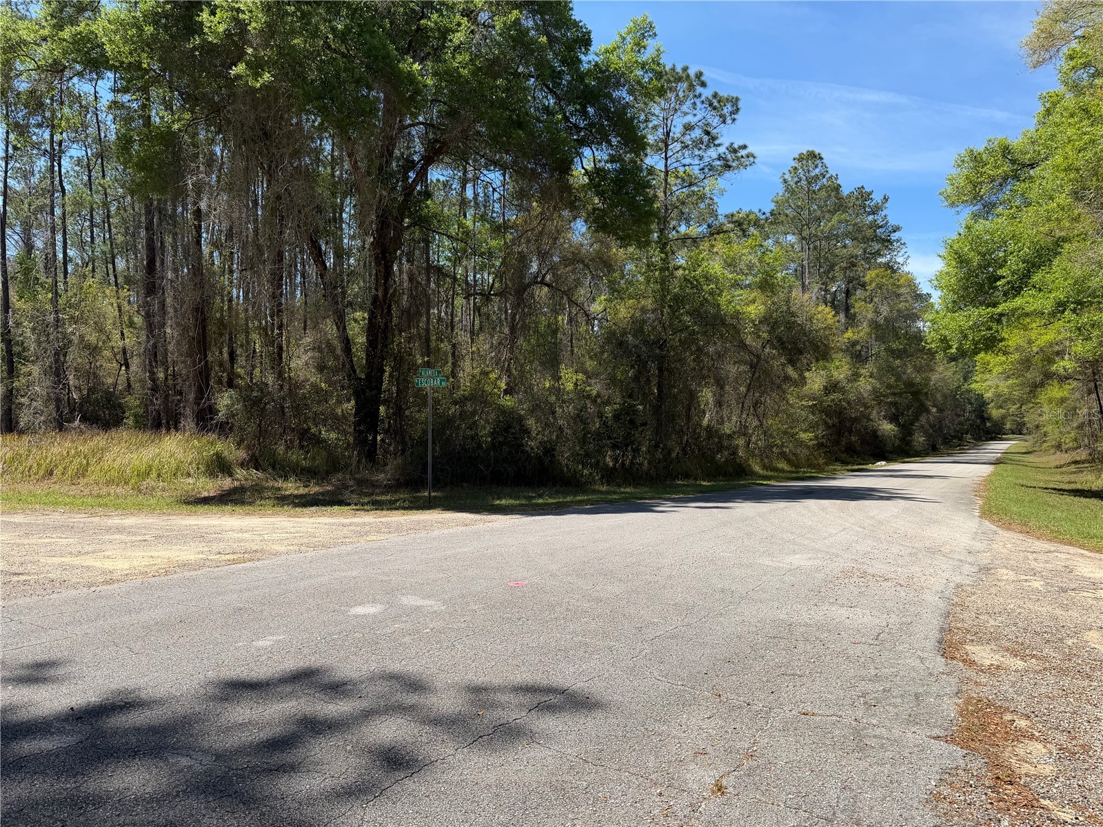 8512 N Escobar Road Dunnellon FL 34434 A4687210 image9