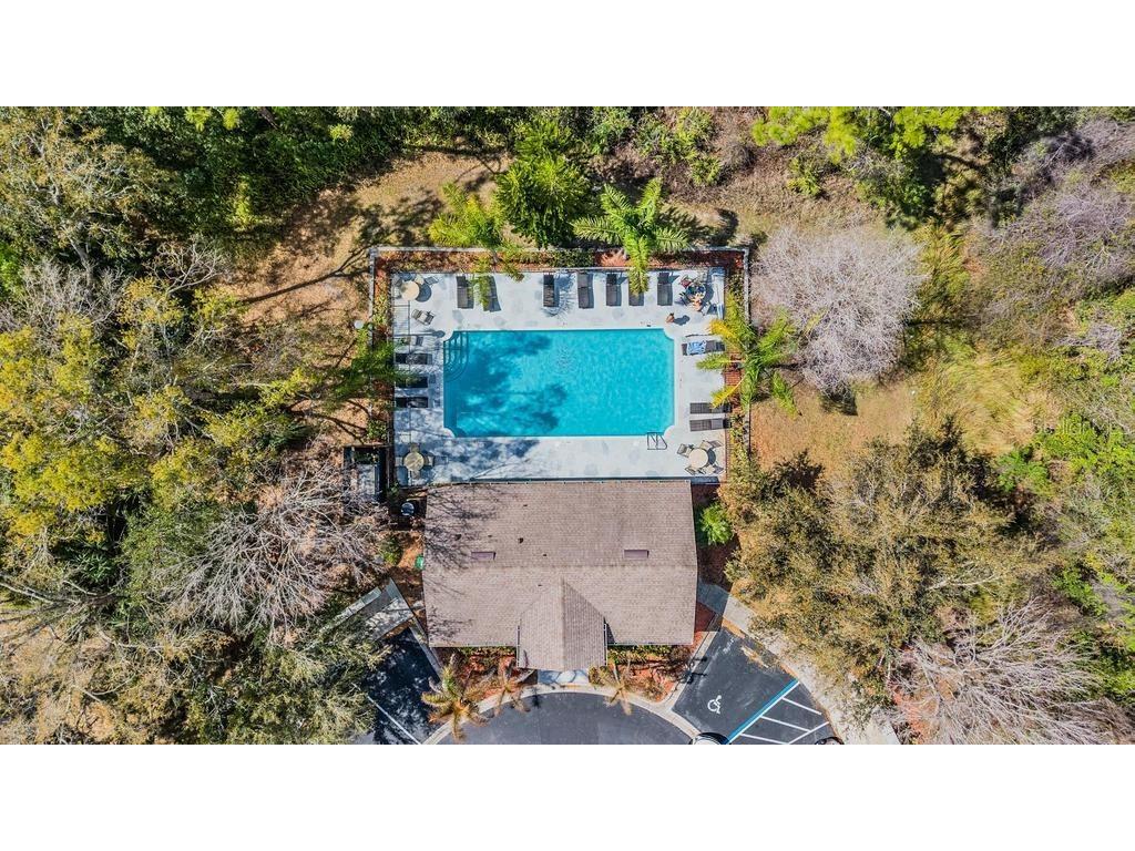 8512 Shallow Creek Court New Port Richey FL 34653 TB8482930 image29