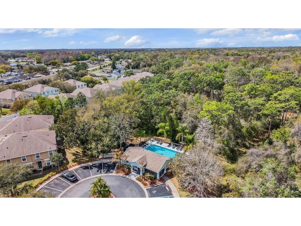 8512 Shallow Creek Court New Port Richey FL 34653 TB8482930 image31